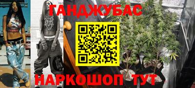 тгк Гай