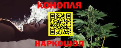 тгк Гай