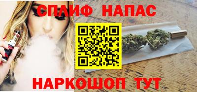 мдпв Гагарин