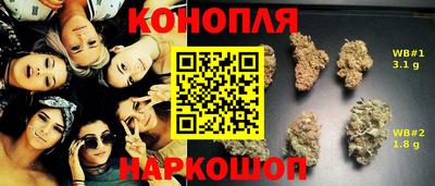 тгк Гай