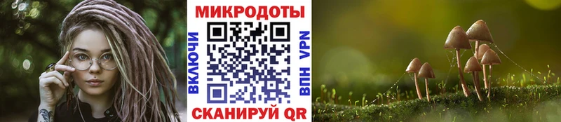 Псилоцибиновые грибы Cubensis  сколько стоит  Нижневартовск 