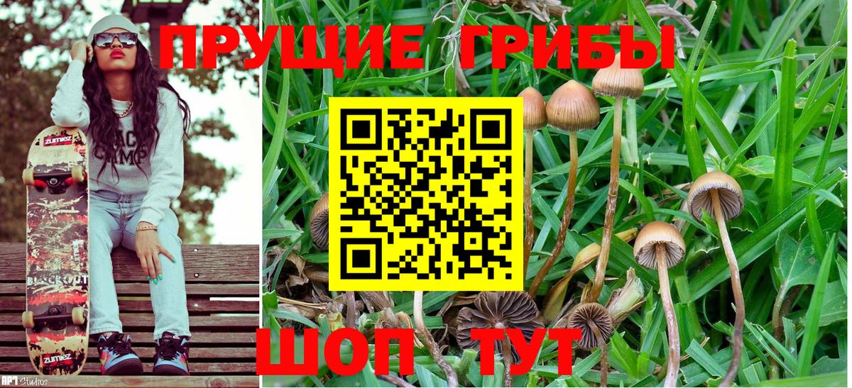 Нижневартовск  закладка  Вход с VPN  Галлюциногенные грибы мухоморы 