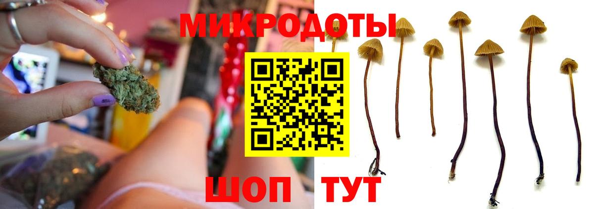 Псилоцибиновые грибы мицелий Нижневартовск